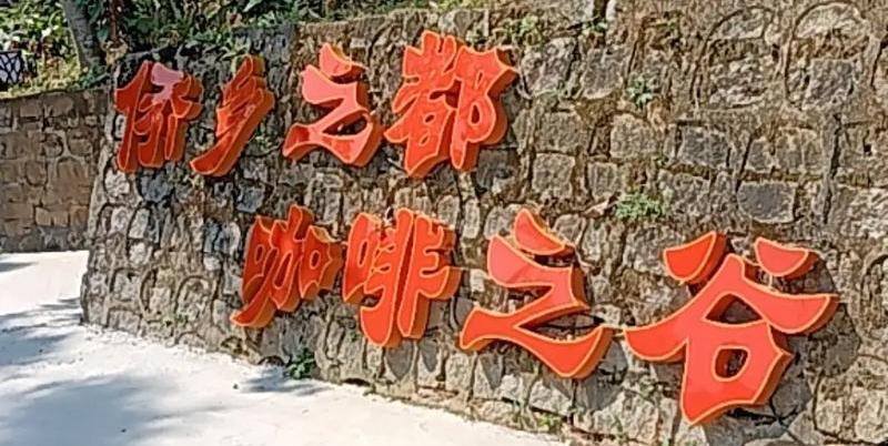 兴隆咖啡谷晨雾：北纬18度的香气革命