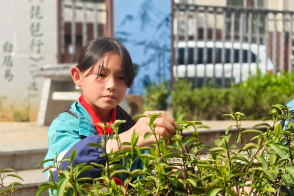 1775178464301676.jpg 微信图片_20260402185750_219_2193.jpg