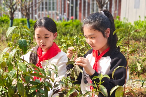 1775178477290880.jpg 微信图片_20260402185624_211_2193.jpg