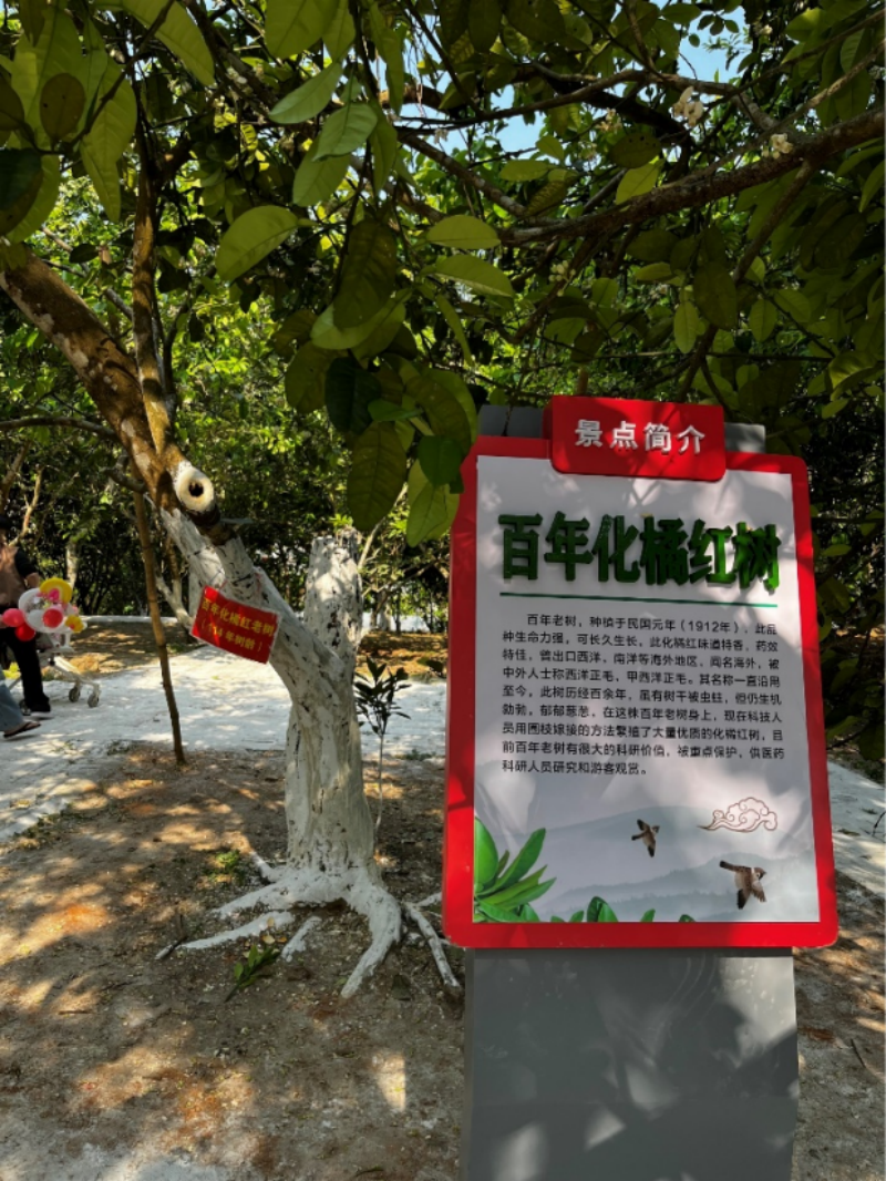 1775178656787812.png 640 (1)(1).png